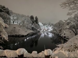 夜の雪景色の古城公園。体育館前から。